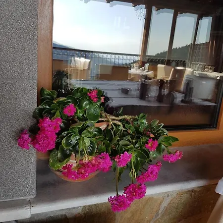 Hotel Metoxi *