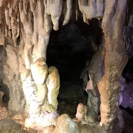 Metoxi