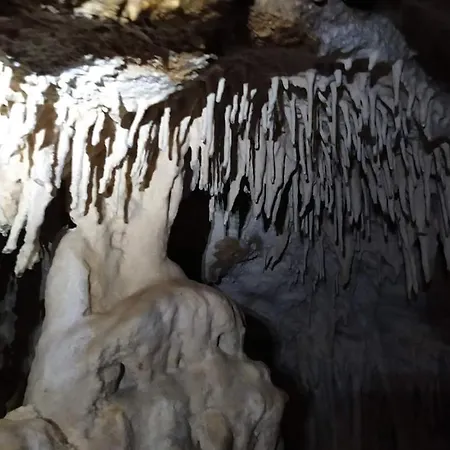 ホテル Metoxi Spiliá