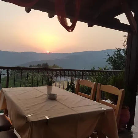 Hotel Metoxi