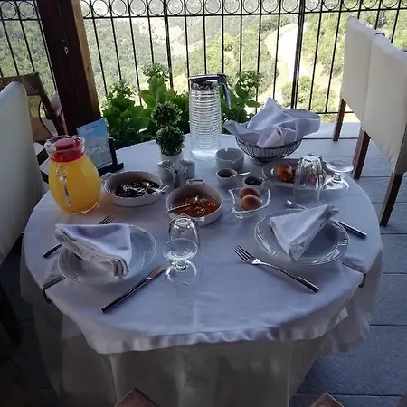 Hotel Metoxi *