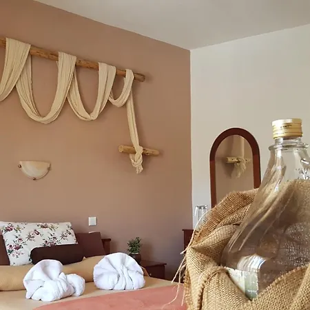 Hotel Metoxi *