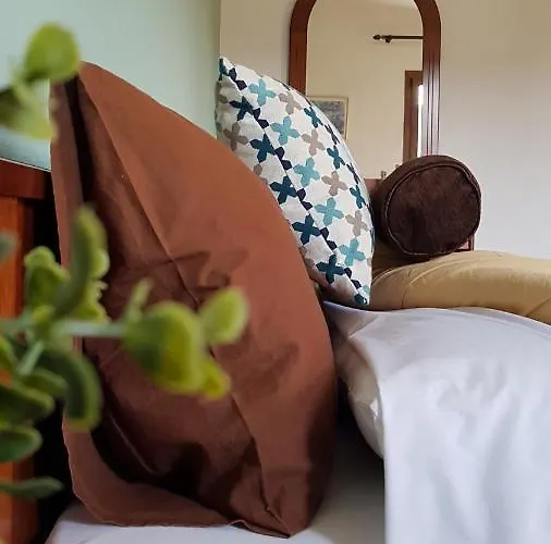 Hotel Metoxi Spiliá